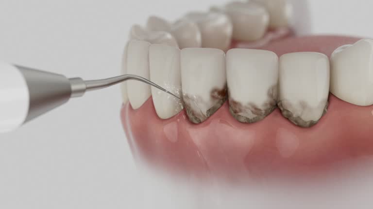 Reliable Dental contractor in Leetonia, OH by Dentist Open Now